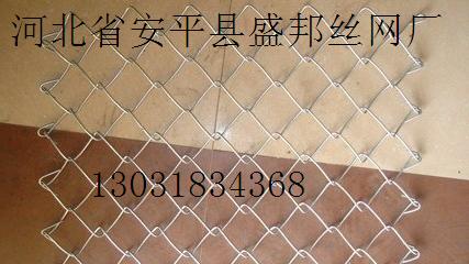 t015830840116ac5d07.jpg